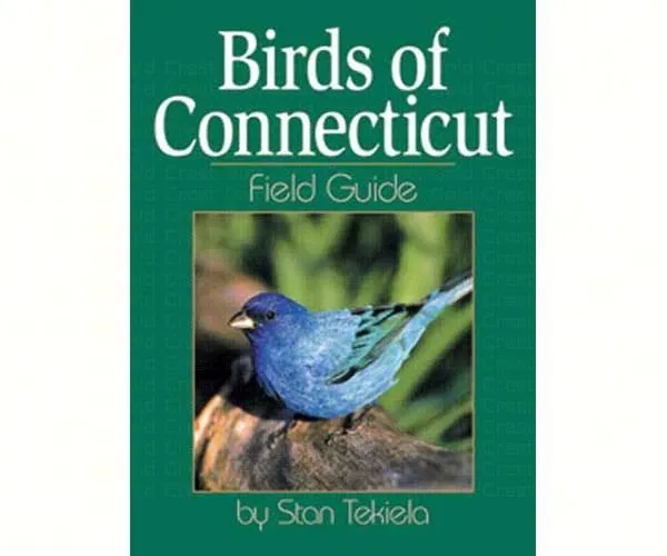 Birds of Connecticut Field Guide