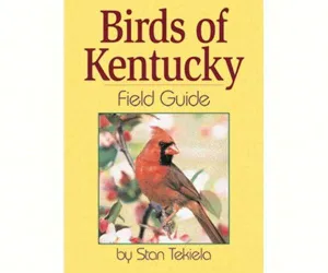 Birds of Kentucky Field Guide