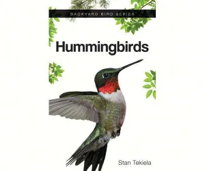 Hummingbirds